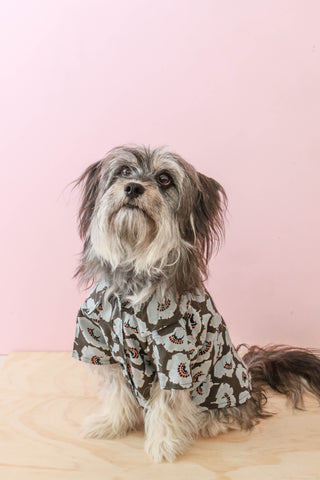 Dog Button Up Shirt - Dot Floral - Small Batch